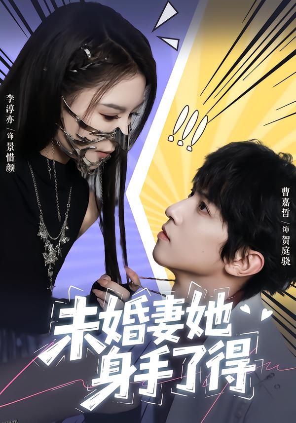 未婚妻她身手了得 海报