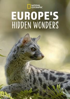 欧洲隐密珍宝第一季 海报