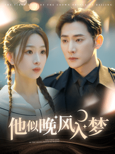 他似晚风入梦 高清海报