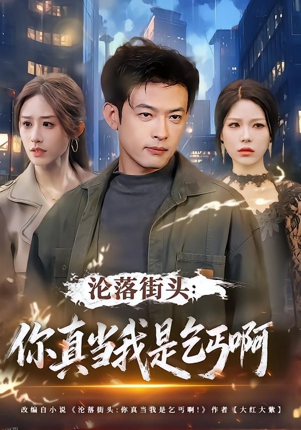 沦落街头：你真当我是乞丐啊 海报