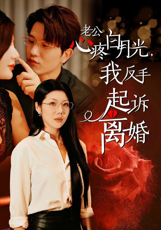 公疼白月光我反手起诉离婚 海报