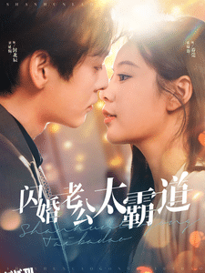 闪婚老公太霸道 海报