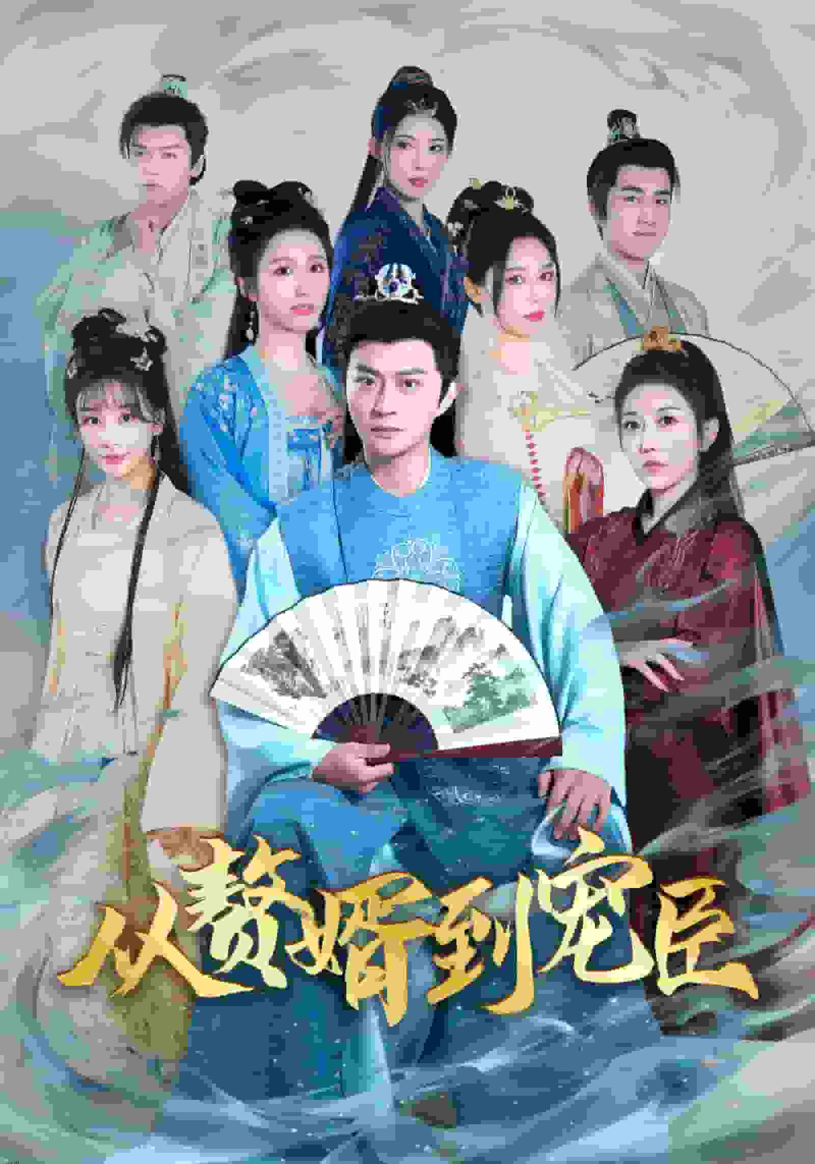 从赘婿到宠臣 海报