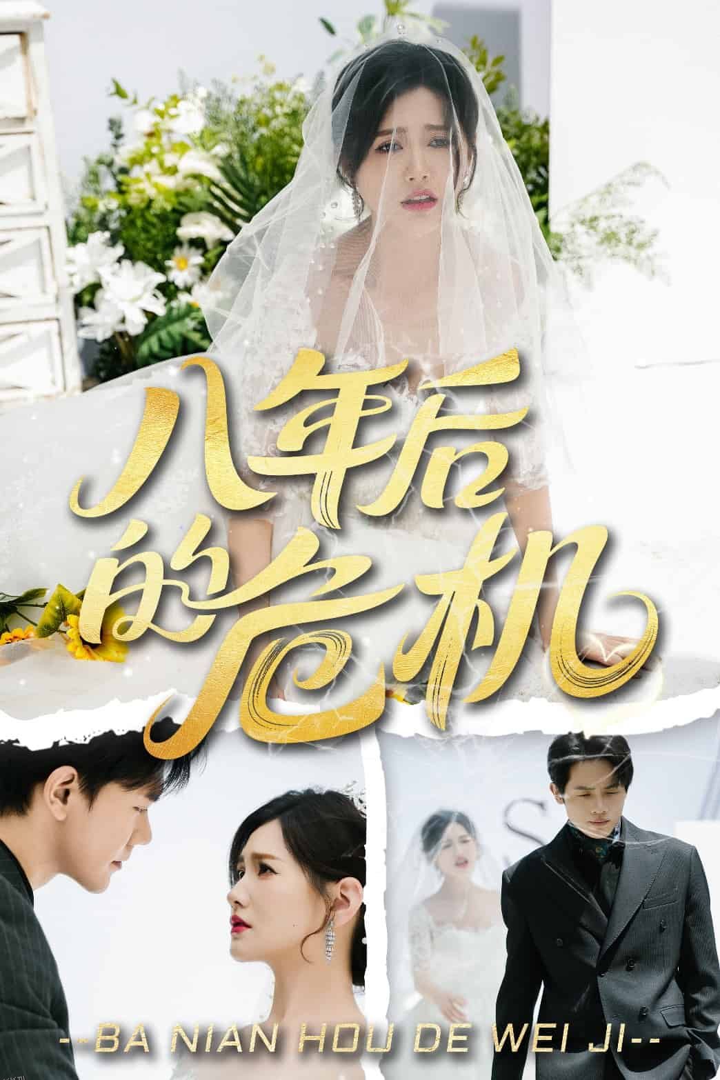 八年后的危机 海报