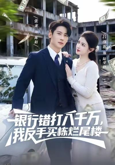银行错打八千万，我反手买栋烂尾楼 海报
