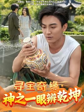 寻宝奇缘，神之一眼辨乾坤 海报