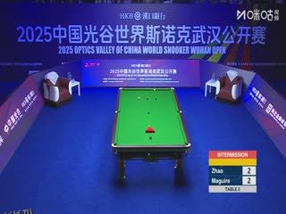 2025斯诺克武汉公开赛32进16 斯蒂芬·马奎尔5-4赵心童 20250826 海报