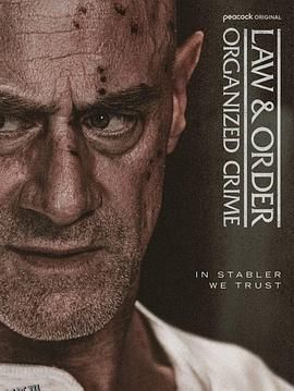 法律与秩序：组织犯罪第五季 海报