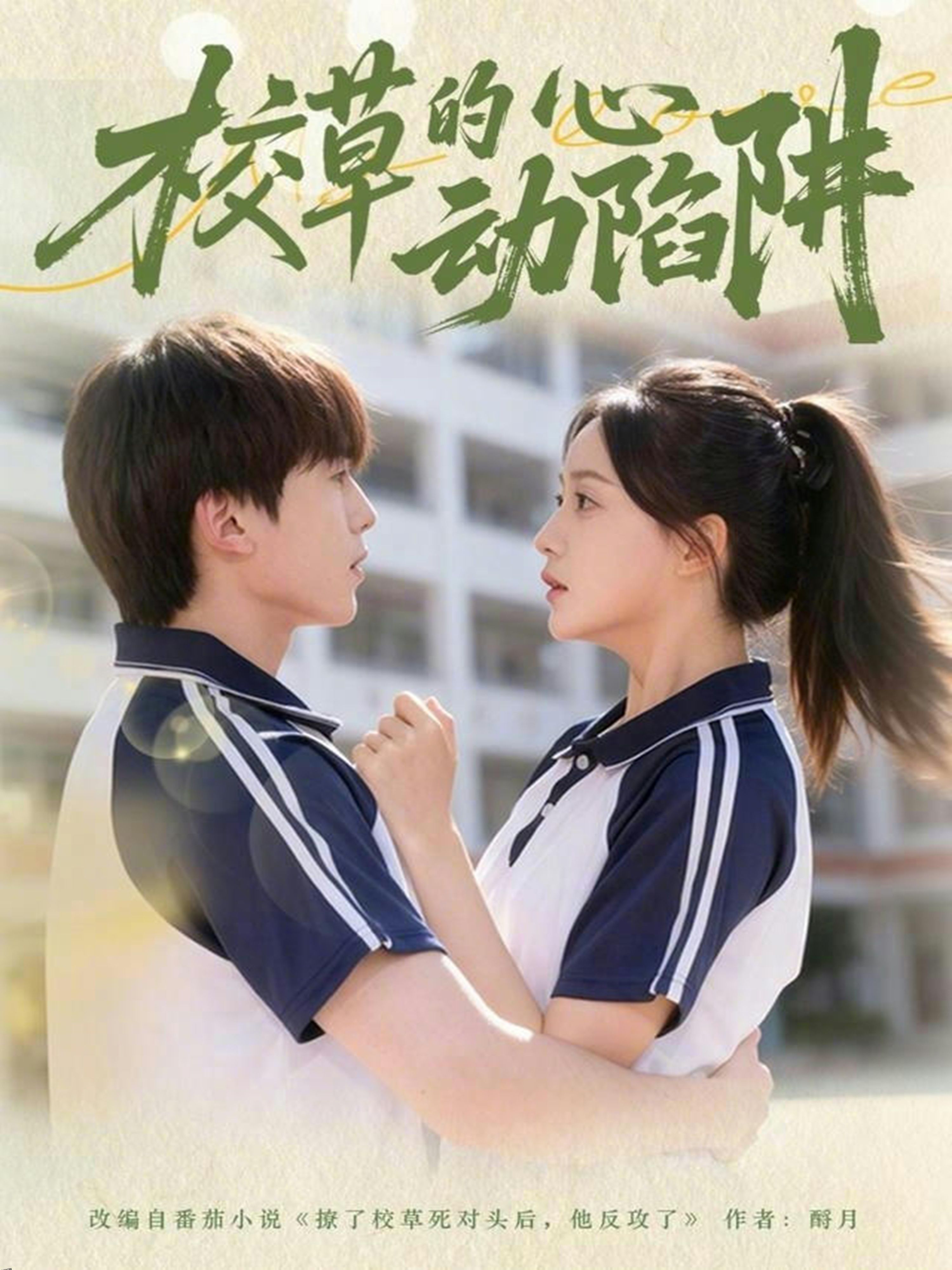 校草的心动陷阱 海报