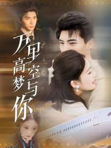 万里高空梦与你 海报