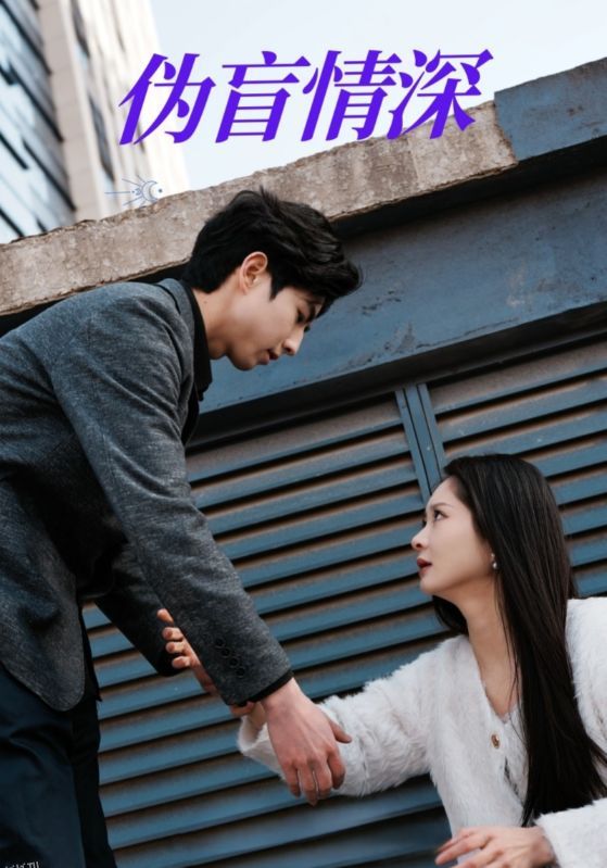 伪盲情深 海报