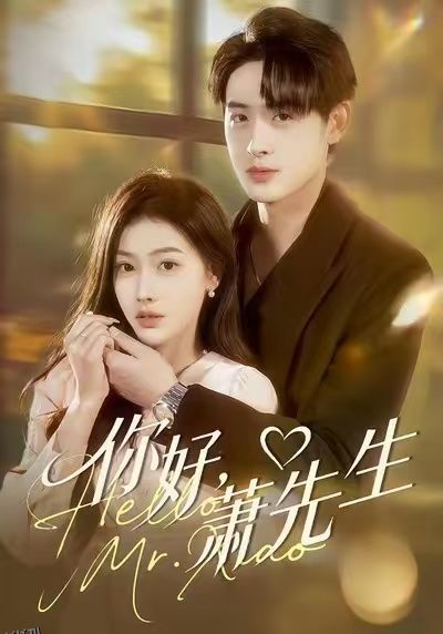 你好，萧先生 海报