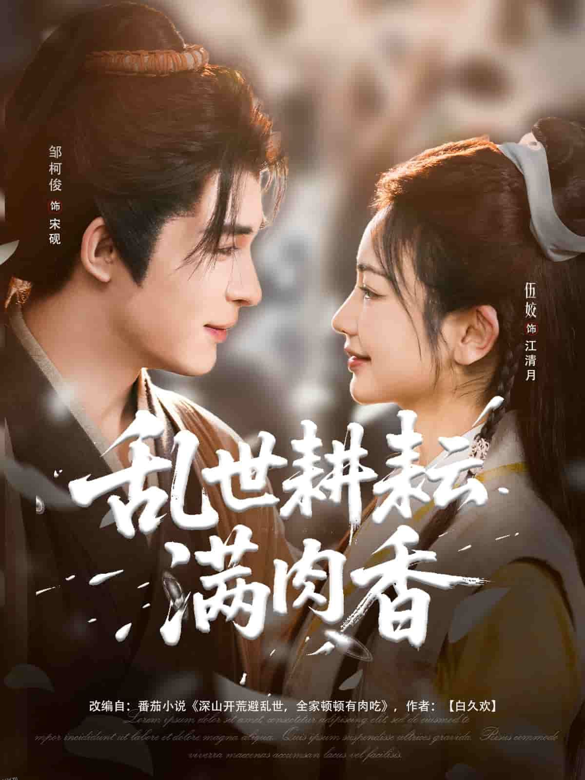 乱世耕耘满肉香 海报