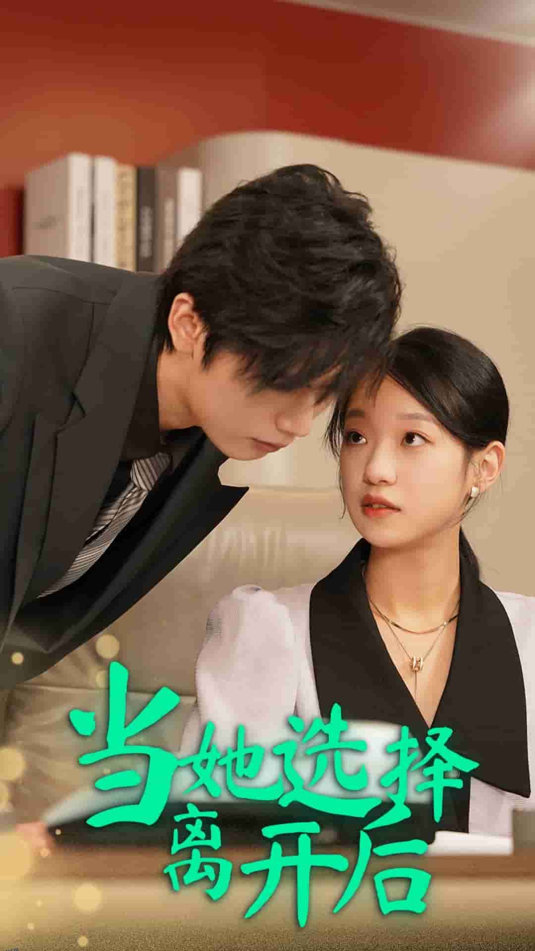 当她选择离开后 海报