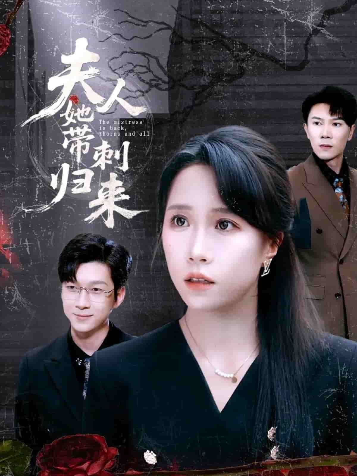 夫人她带刺归来 海报