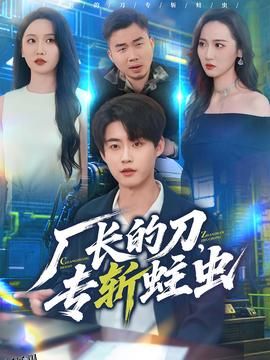 厂长的刀，专斩蛀虫 海报