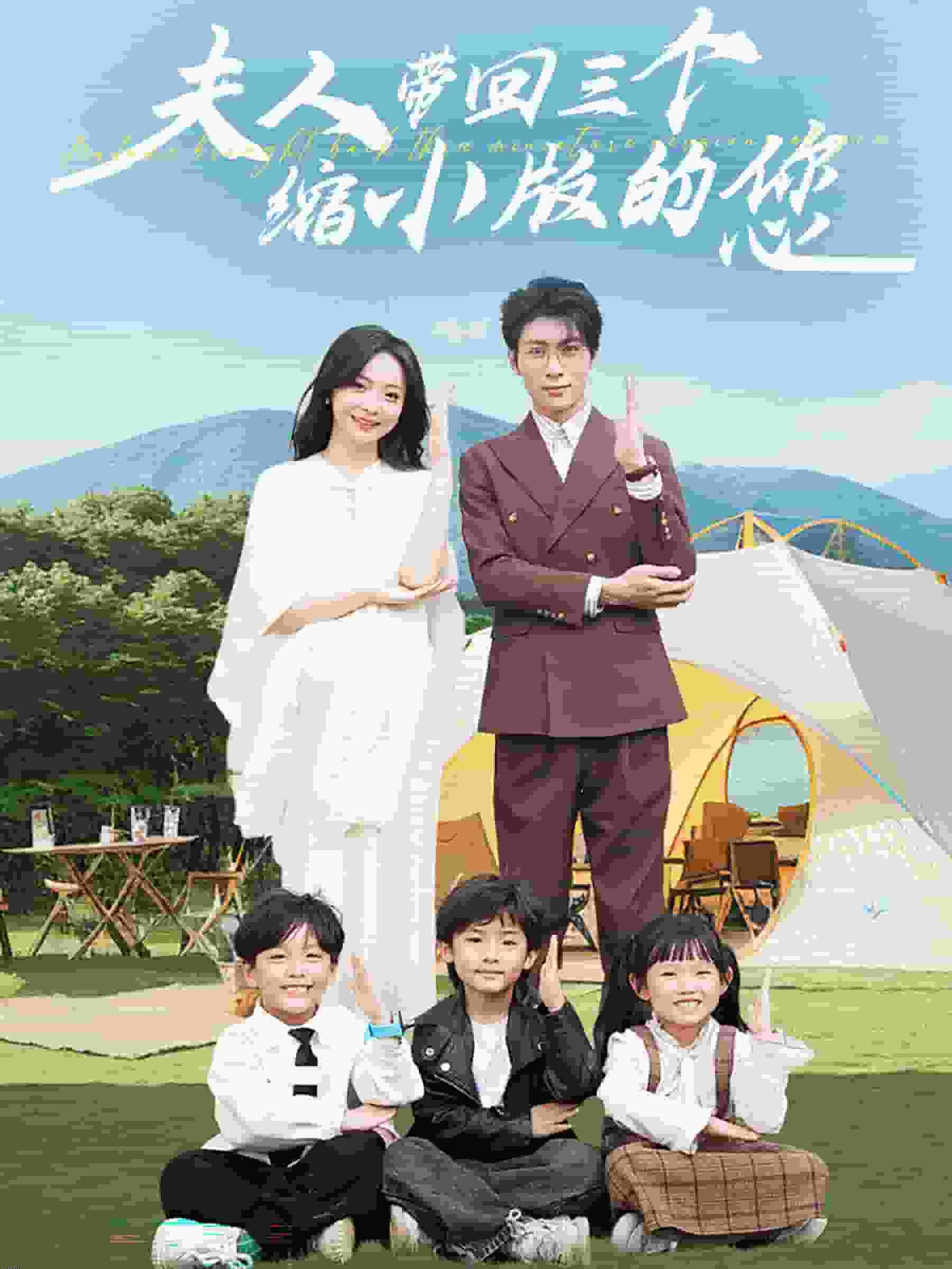 夫人带回三个缩小版的您 海报