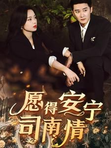 愿得安宁司南情 海报