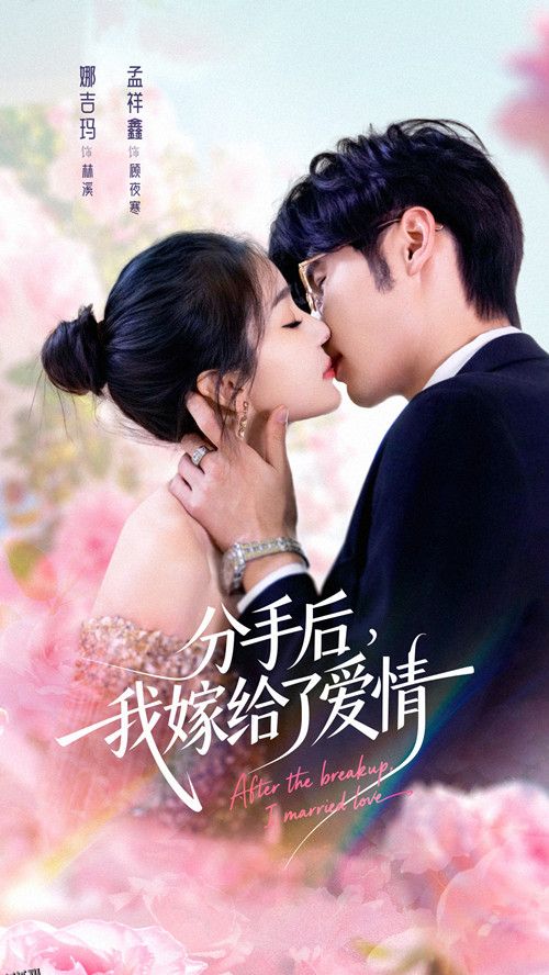 分手后我嫁给了爱情 海报