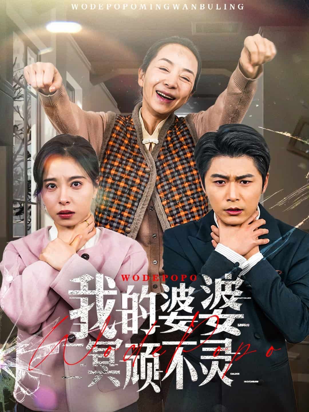 好心婆婆之事与愿违 高清海报