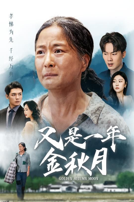 又是一年金秋月 海报