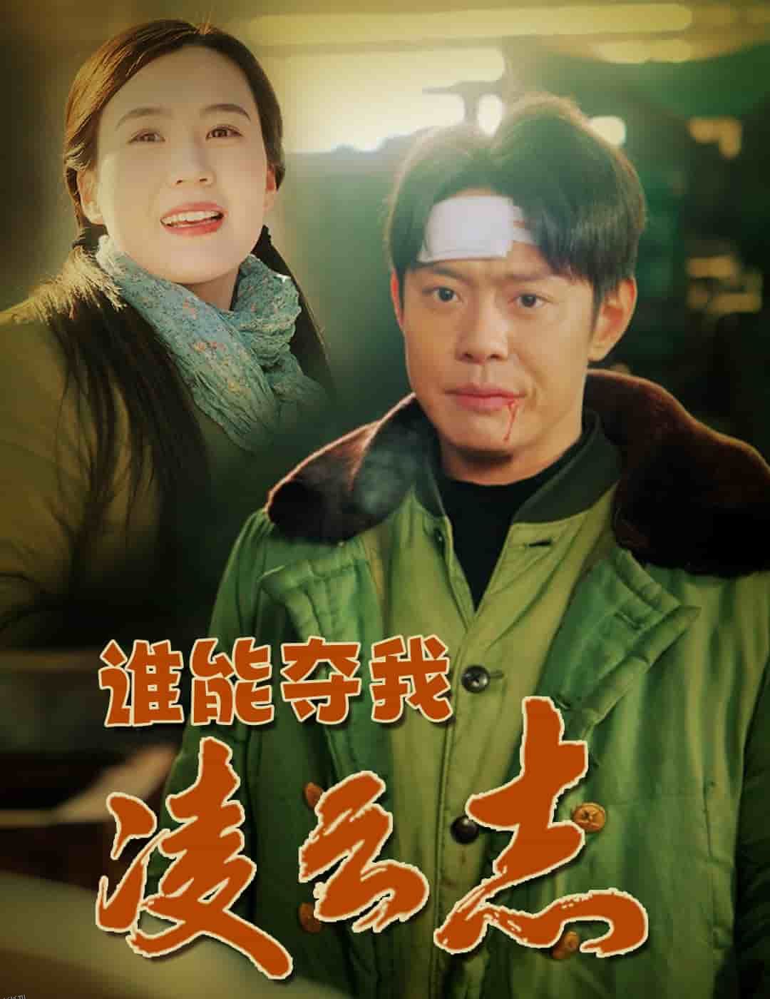 谁能夺我凌云志 海报