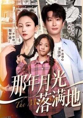 那年月光落满地 海报