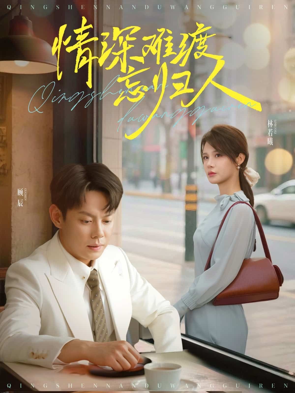 情深难渡忘归人 海报