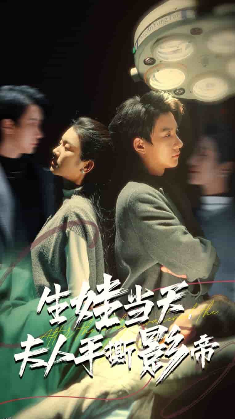 生娃当天夫人手撕影帝 高清海报