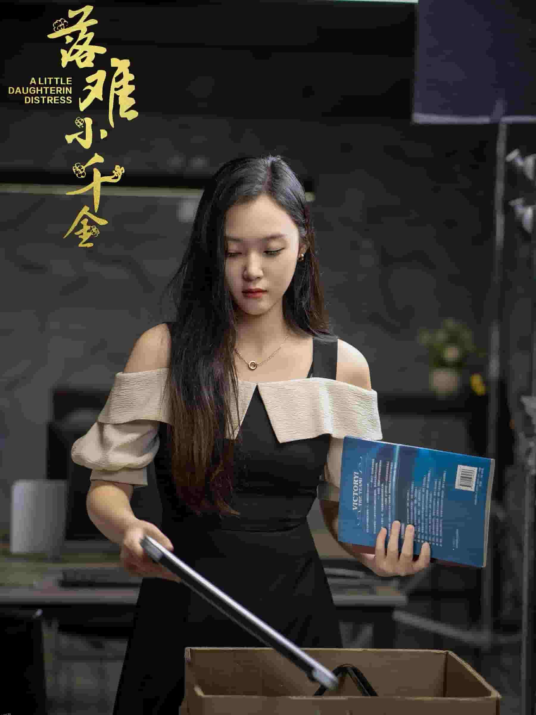 落难小千金 海报