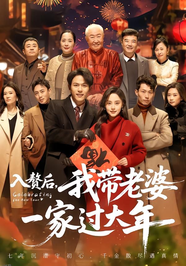 入赘后，我带老婆一家过大年 海报