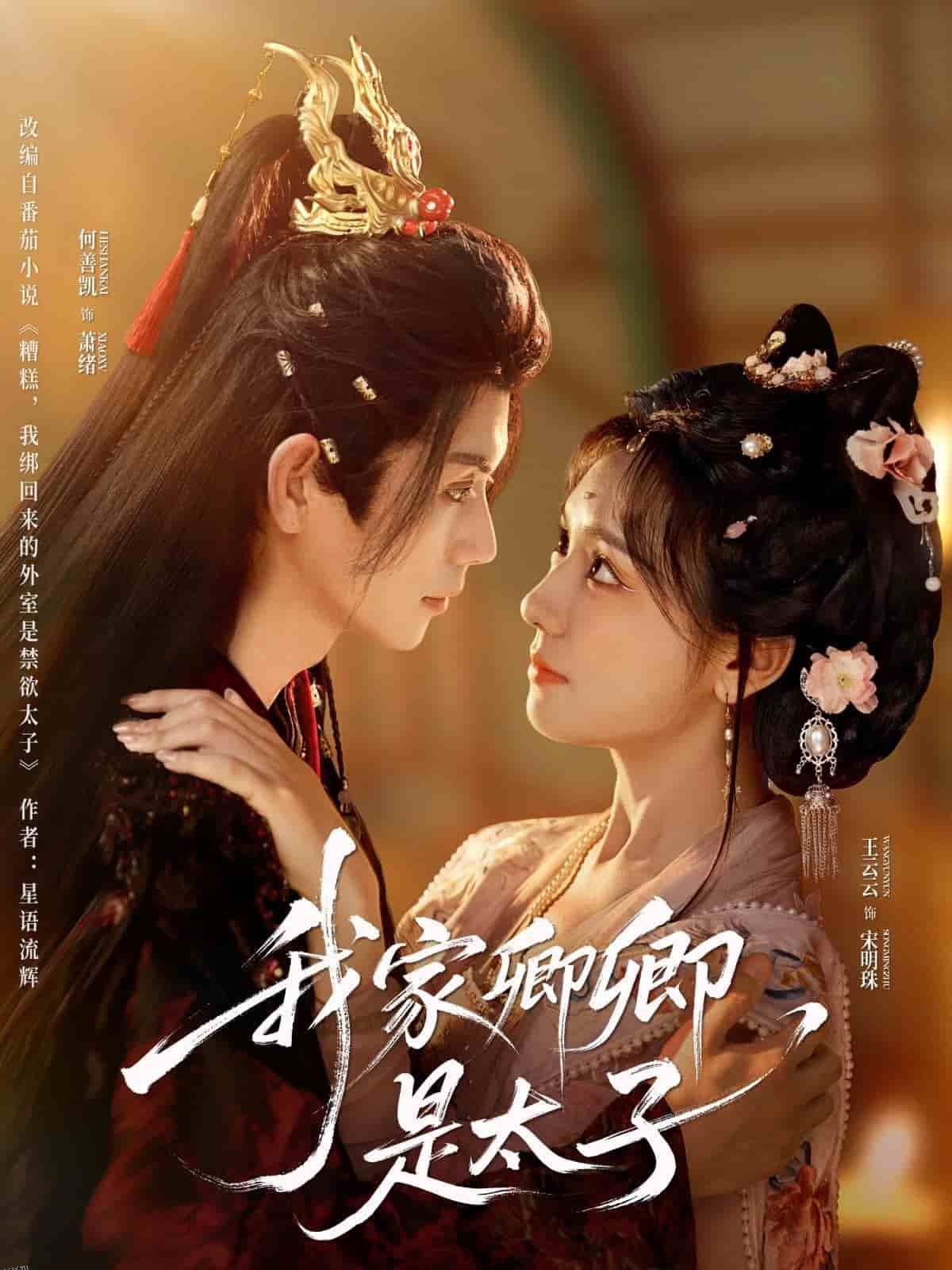 我家卿卿是太子 海报