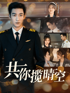 共你揽晴空 海报