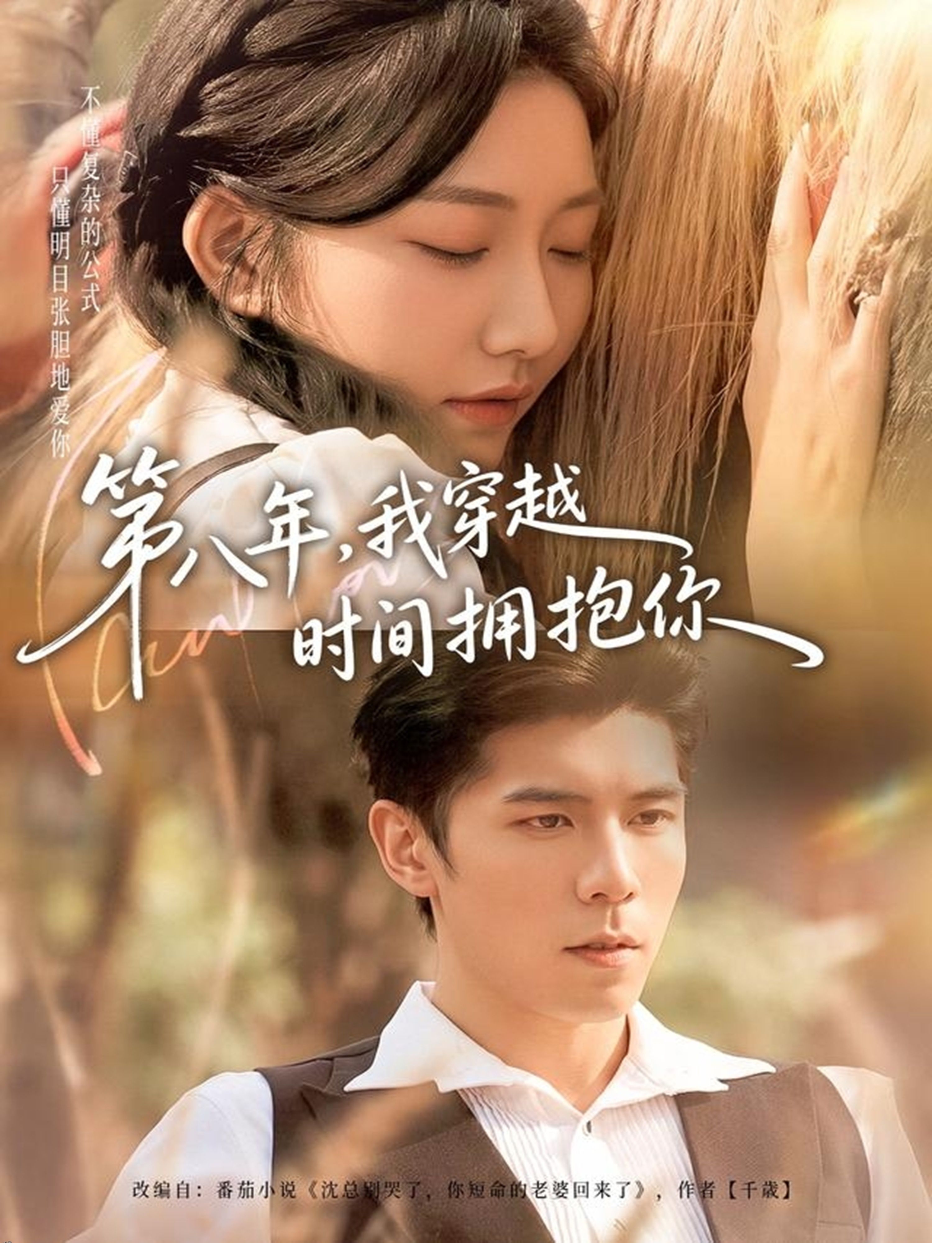 第八年，我穿越时间拥抱你 海报
