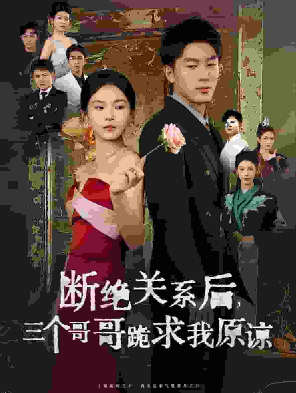 断绝关系后三个哥哥跪求我原谅 海报