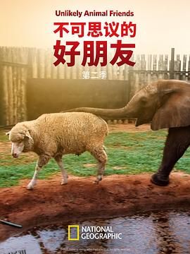 不可思议的好朋友第二季 海报