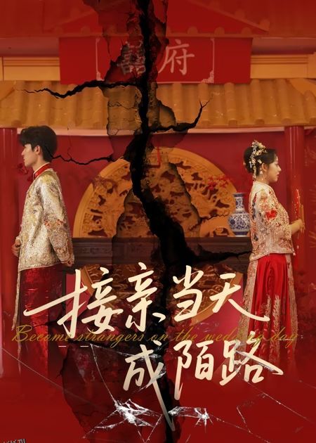 接亲当天成陌路 海报
