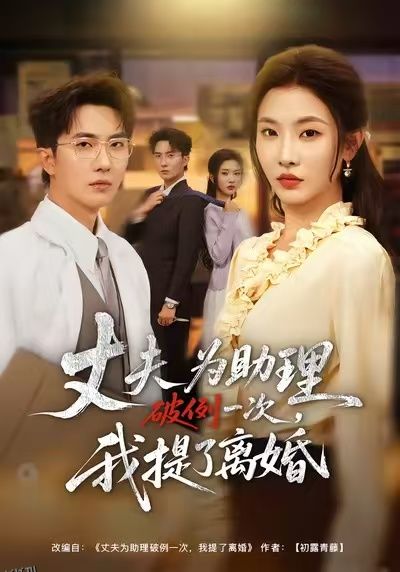 夫为助理破例一次，我提了离婚 海报