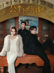 公主回归计划 海报