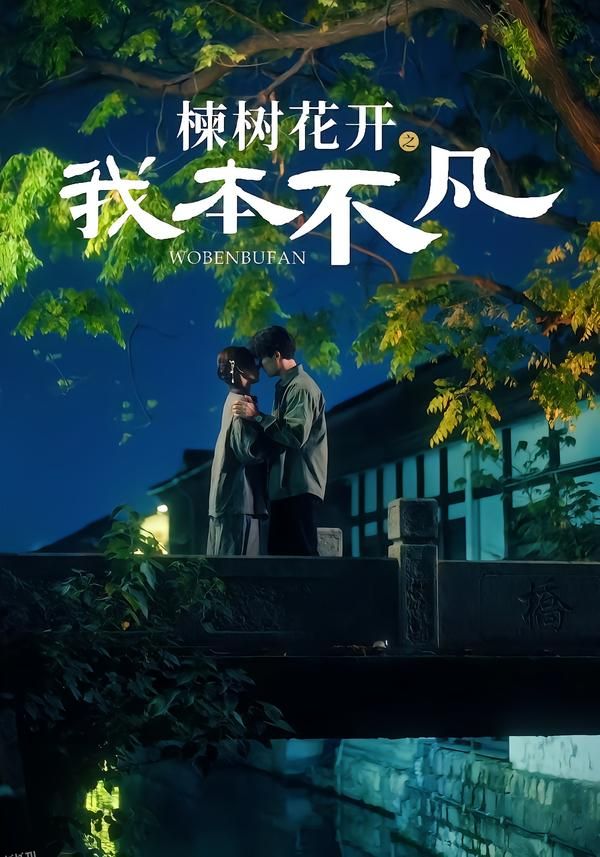楝树花开之我本不凡 海报