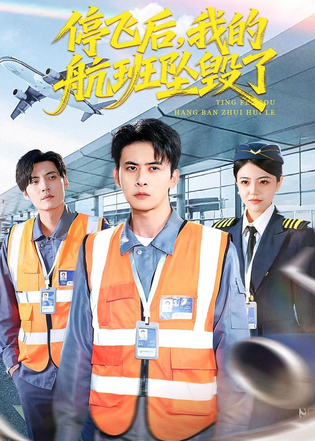 停飞后，我的航班坠毁了 海报