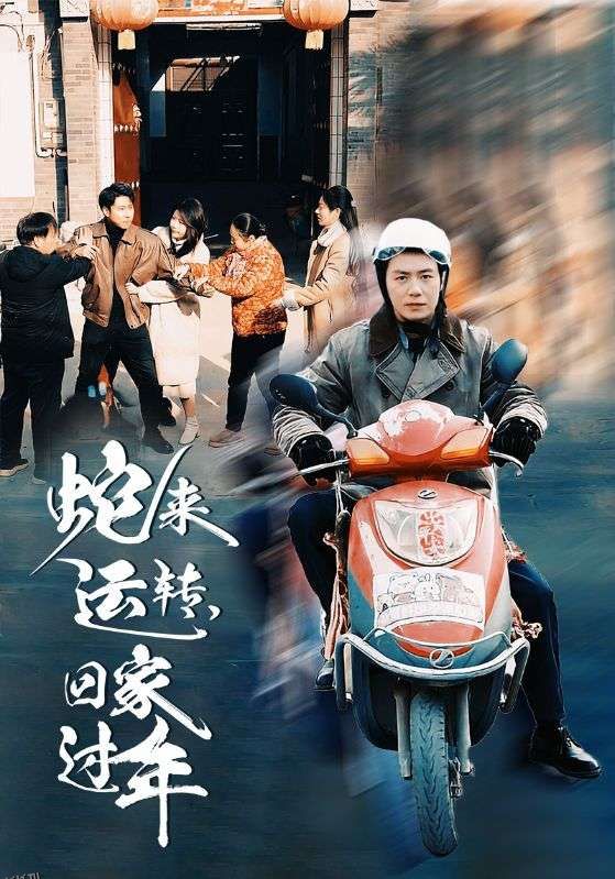 蛇来运转回家过年 海报