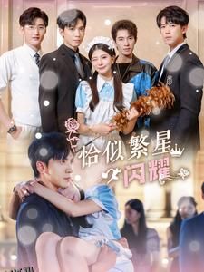 恰似繁星闪耀 海报