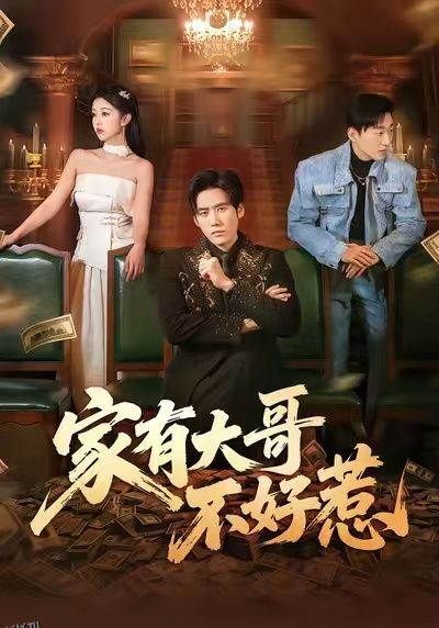 家有大哥不好惹 海报