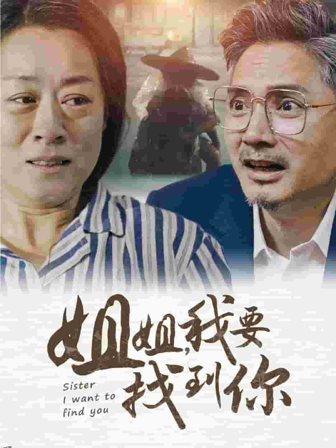 姐姐我要找到你 海报