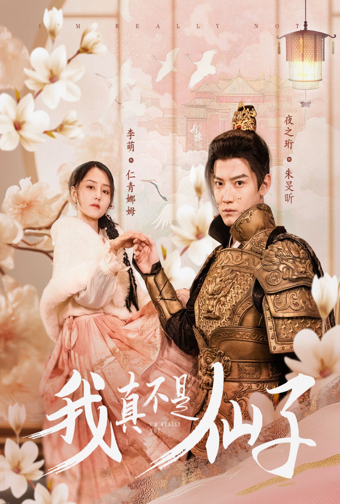 我真不是仙子 海报