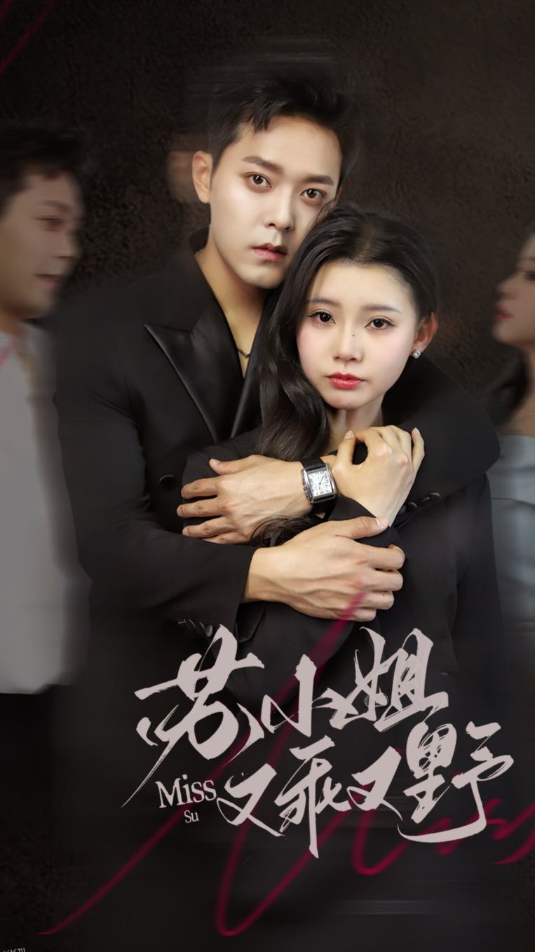 苏小姐又乖又野 海报