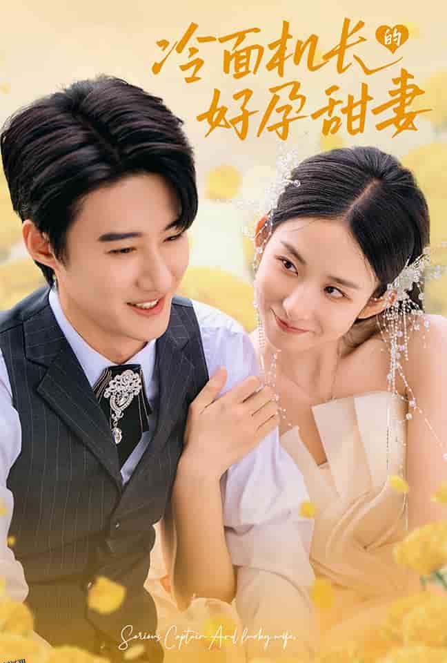 冷面机长的好孕甜妻 海报