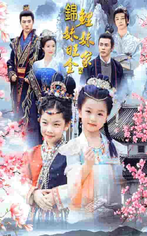 锦鲤妹妹旺全家 海报