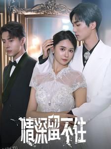 情深留不住 海报